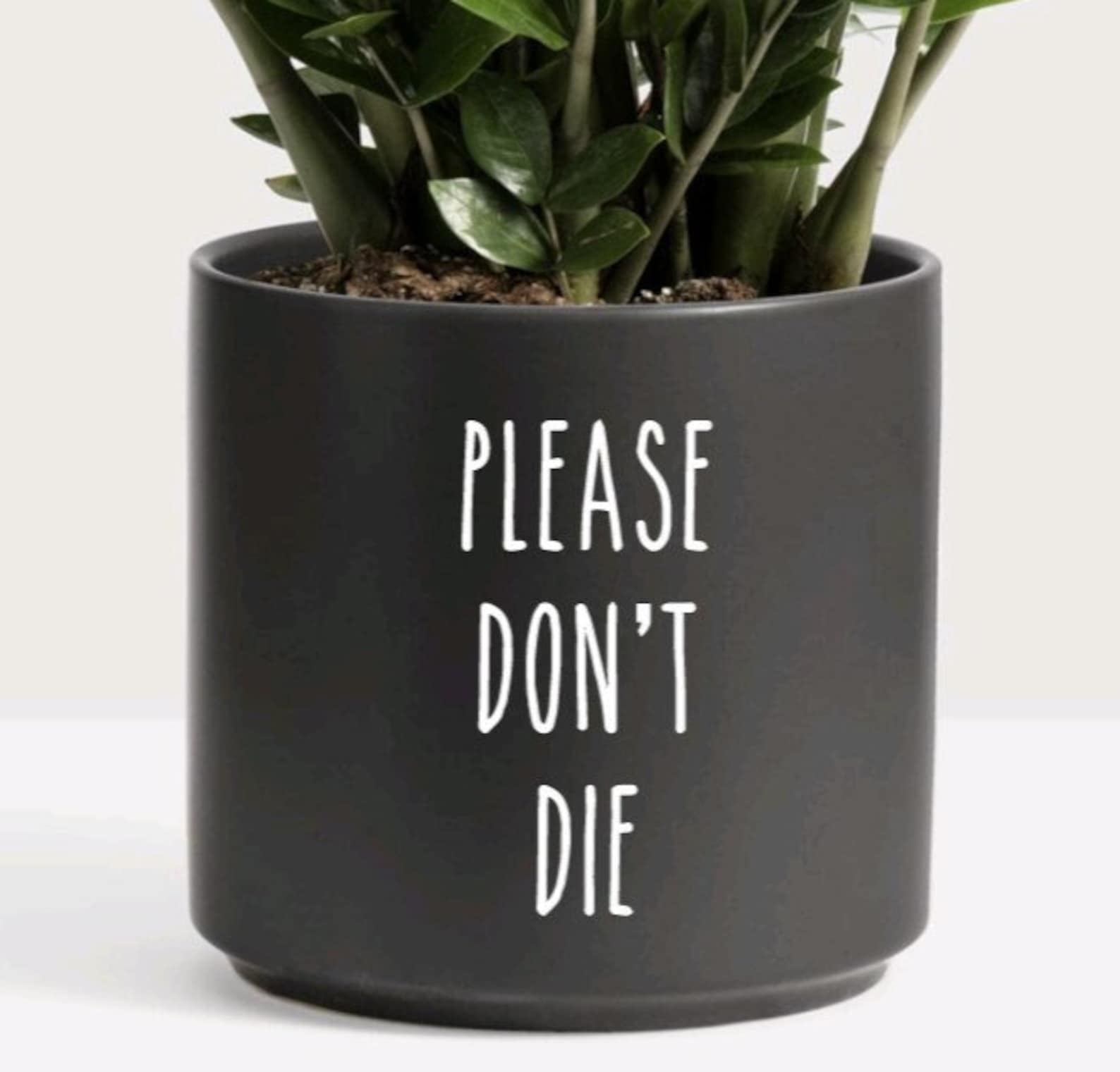 Please Dont Die Planter and Decal Rae Dunn Font Plant Etsy