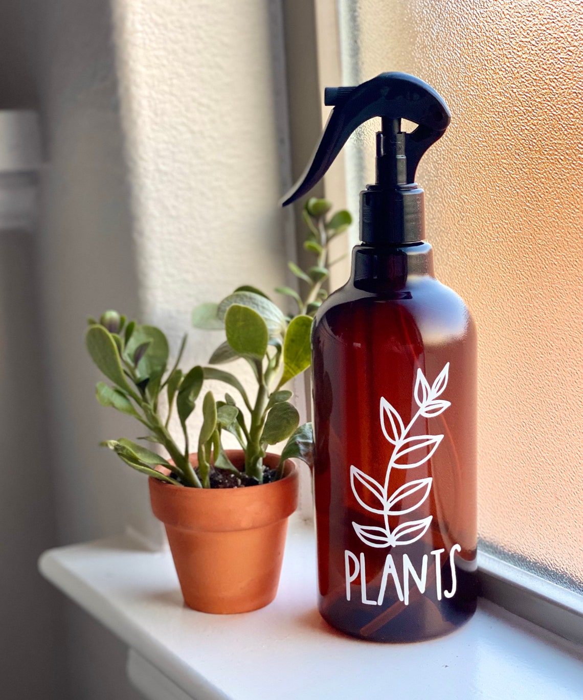 Plants Leaf Spray Bottle Plant Spray Etsy