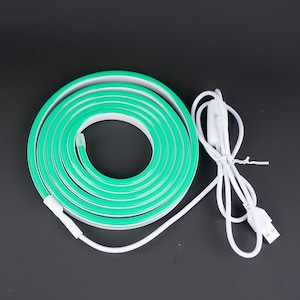 May include: A coiled, green LED neon light strip with a white power cord, switch, and USB connector. The flexible light strip is designed for decorative lighting applications. The background is a solid black.
