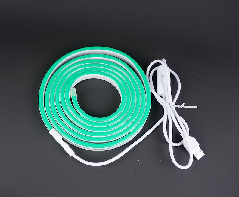 May include: A coiled, green LED neon light strip with a white power cord, switch, and USB connector. The flexible light strip is designed for decorative lighting applications. The background is a solid black.