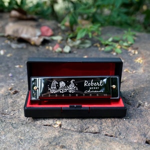 Personalized Christmas gift Diatonic Harmonica, 10 Holes C Key Beginner Blues Harmonica for Kids Children Adults Students