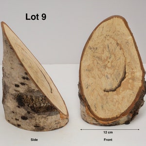 May include: Two pieces of natural wood log with bark, labelled Lot 9. One piece shows a side profile, the other a front view. The side piece is 17.5 cm tall, and the front piece is 12 cm wide. The wood has a light tan interior with grain.