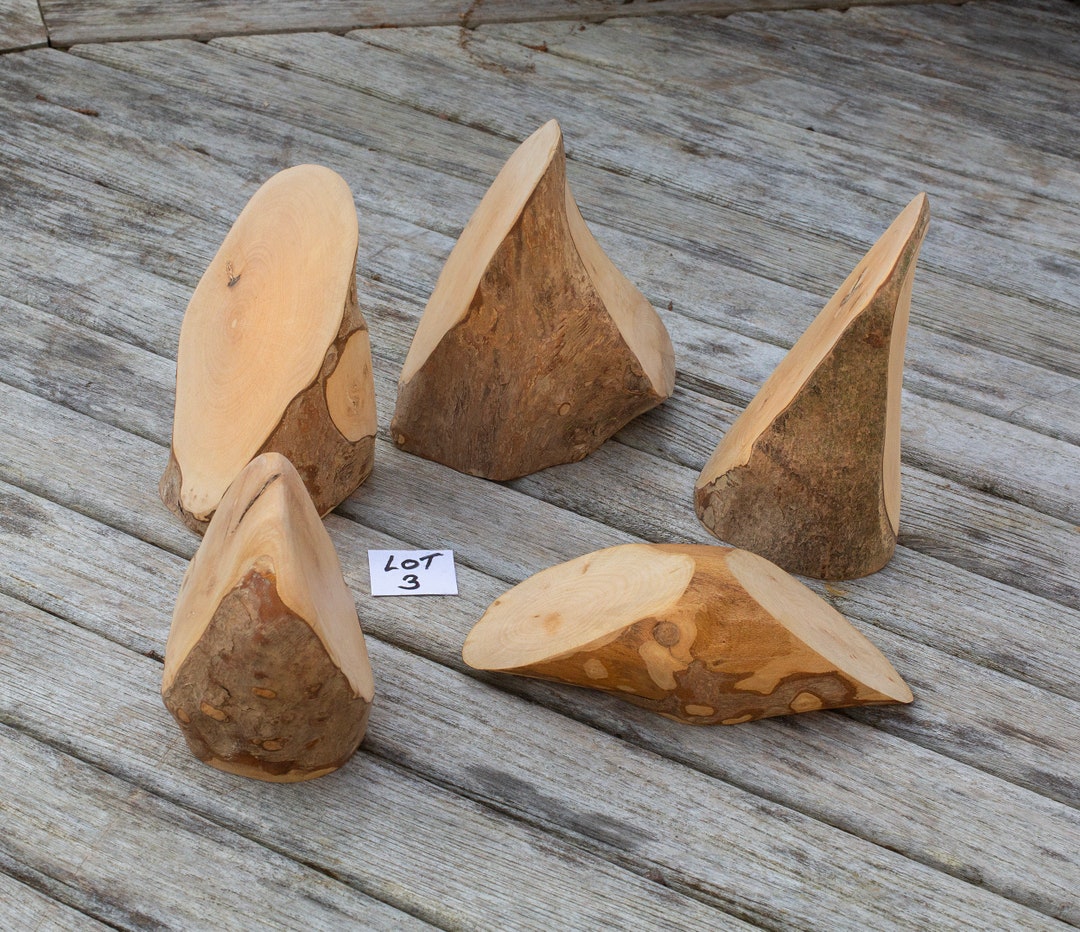 Double Facet Angled Wood Blocks - Stumps - Wedge - Painting ...