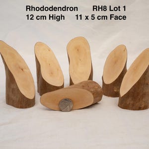 Angled Wood Stumps - Blocks - Wedge - Painting - Pyrography