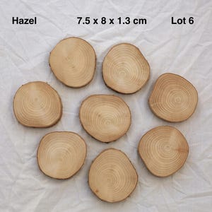 May include: Lot of 6 wood slices, each measuring 7.5 x 8 x 1.3 cm. The slices are made of hazel wood and have a natural, light brown colour. The wood grain is visible on each slice.