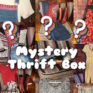 Thrifted Mystery Style Box (2-3 items)