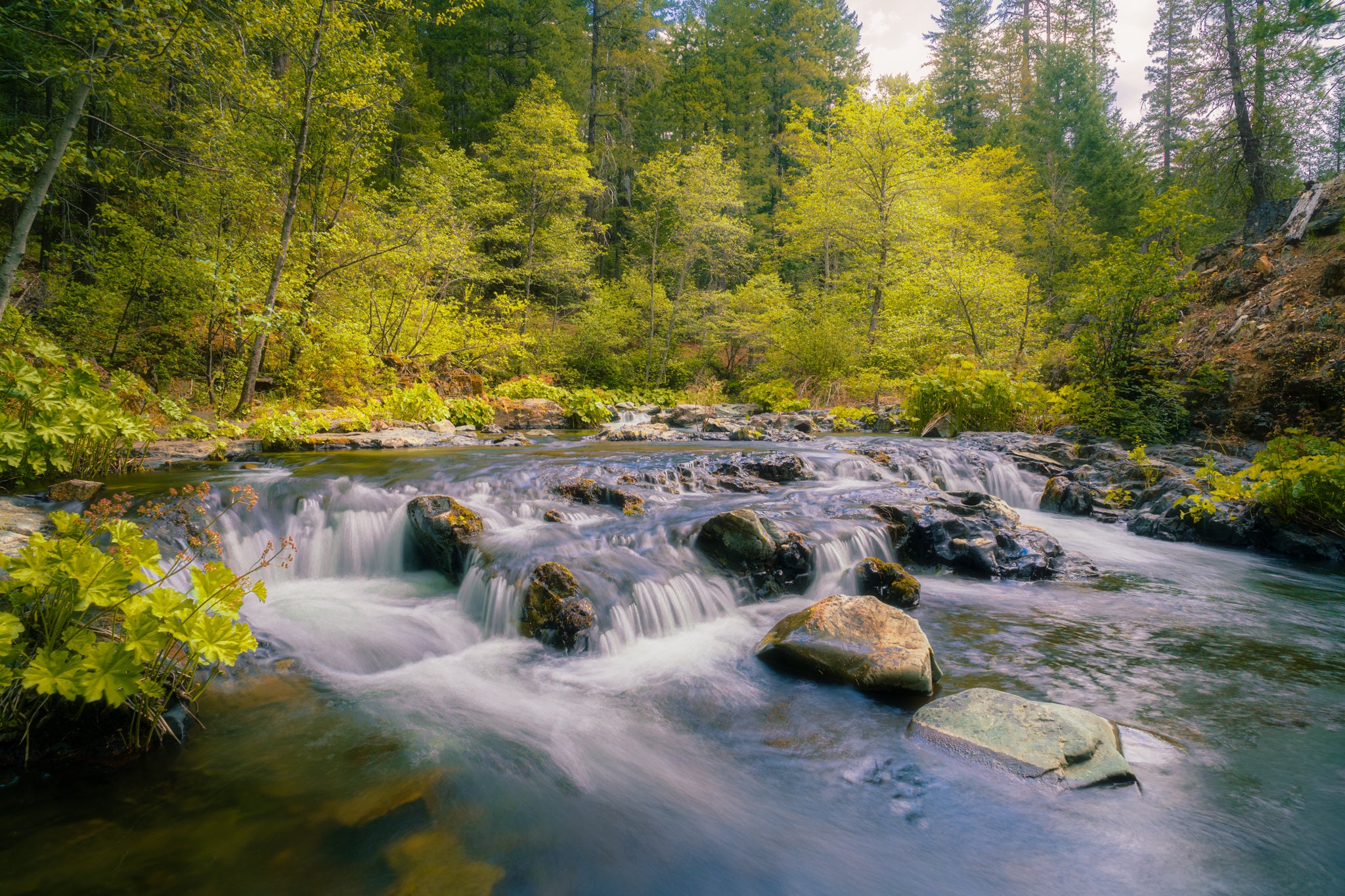 2024 Northern California Photo Calendars Etsy