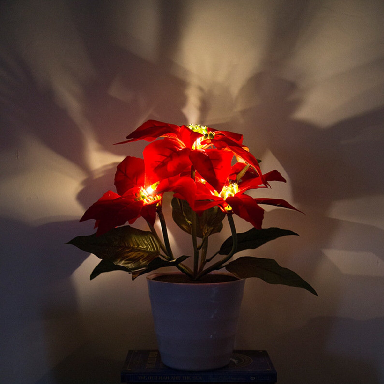 Solar Power Flower Light Poinsettia Dandelion Hydrangea Tulip Etsy