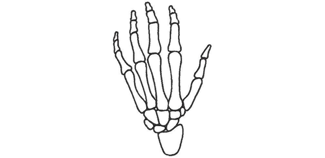 Skeleton Hand Outline Embroidery Design / Digital Embroidery Machine