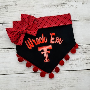 Snap On...REVERSIBLE METALLIC FOIL Texas Tech Dog bandana