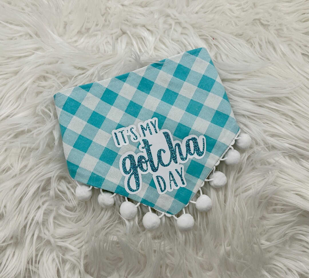 Harness | Turquoise Gingham main image 1