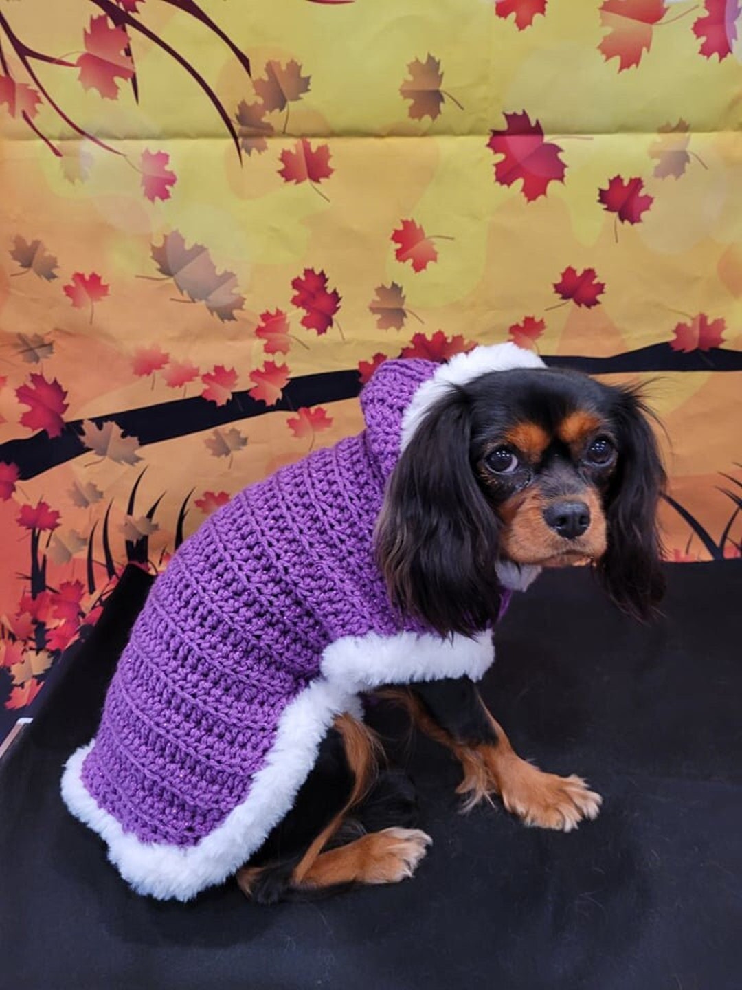 Faux Fur Lined Crochet Dog Hoodie Etsy