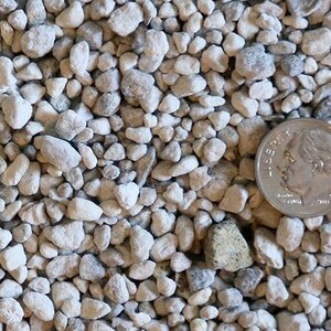 May include: Close-up of a pile of small, light gray pumice stones. A U.S. dime coin is placed among the stones for size comparison. The stones have a rough, porous texture, and vary in size and shape.