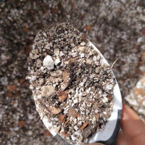 May include: A close-up of a white and black scoop filled with a mixture of soil, small white rocks, and brown organic matter. The soil mix is used for planting. The background is a similar soil mixture.