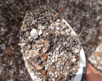 PlantIt Gritty Potting Mix for Succulents and Cacti