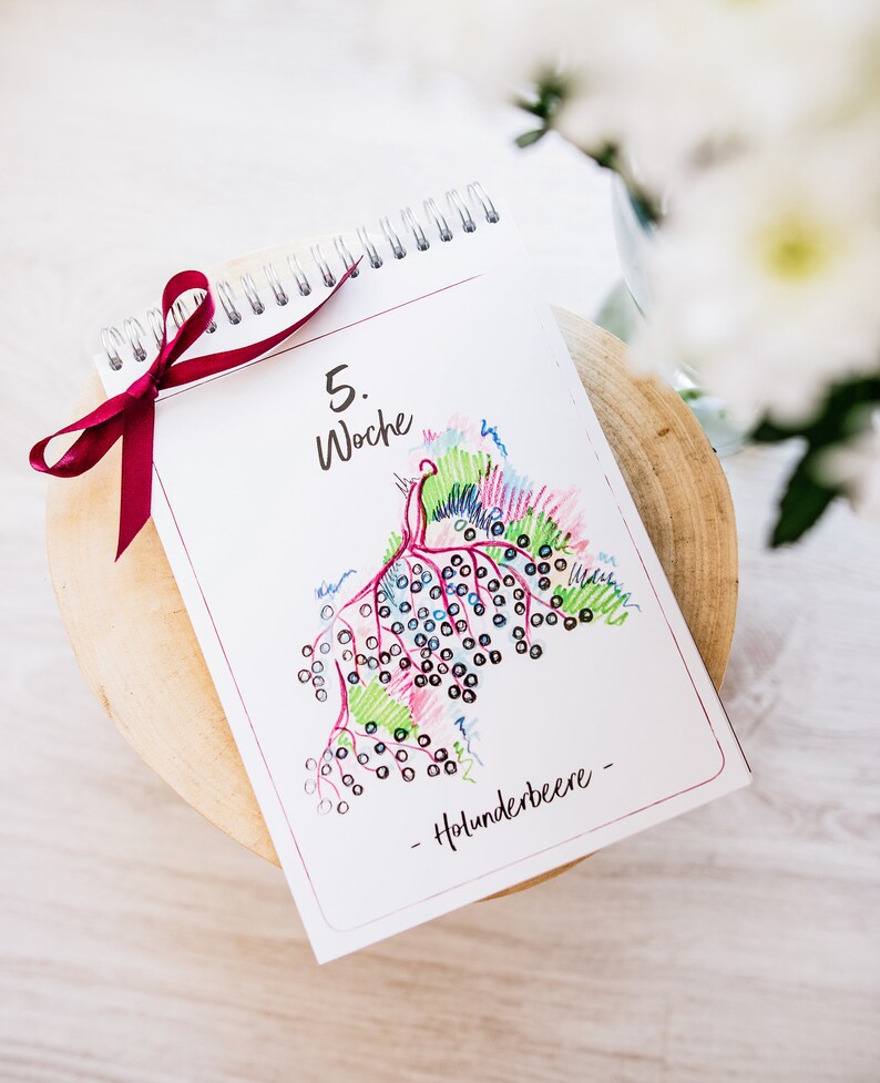 Fruit & Vegetable Pregnancy Calendar Milestones Pregnancy Etsy