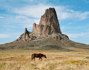 Monument Valley Horse Photo
