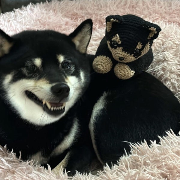 Japanese black and  tan Shiba Inu with extra  fast shipping Shiba plushie Japanese Shiba dog mom  present Dog mom gift Japanese Shiba gift