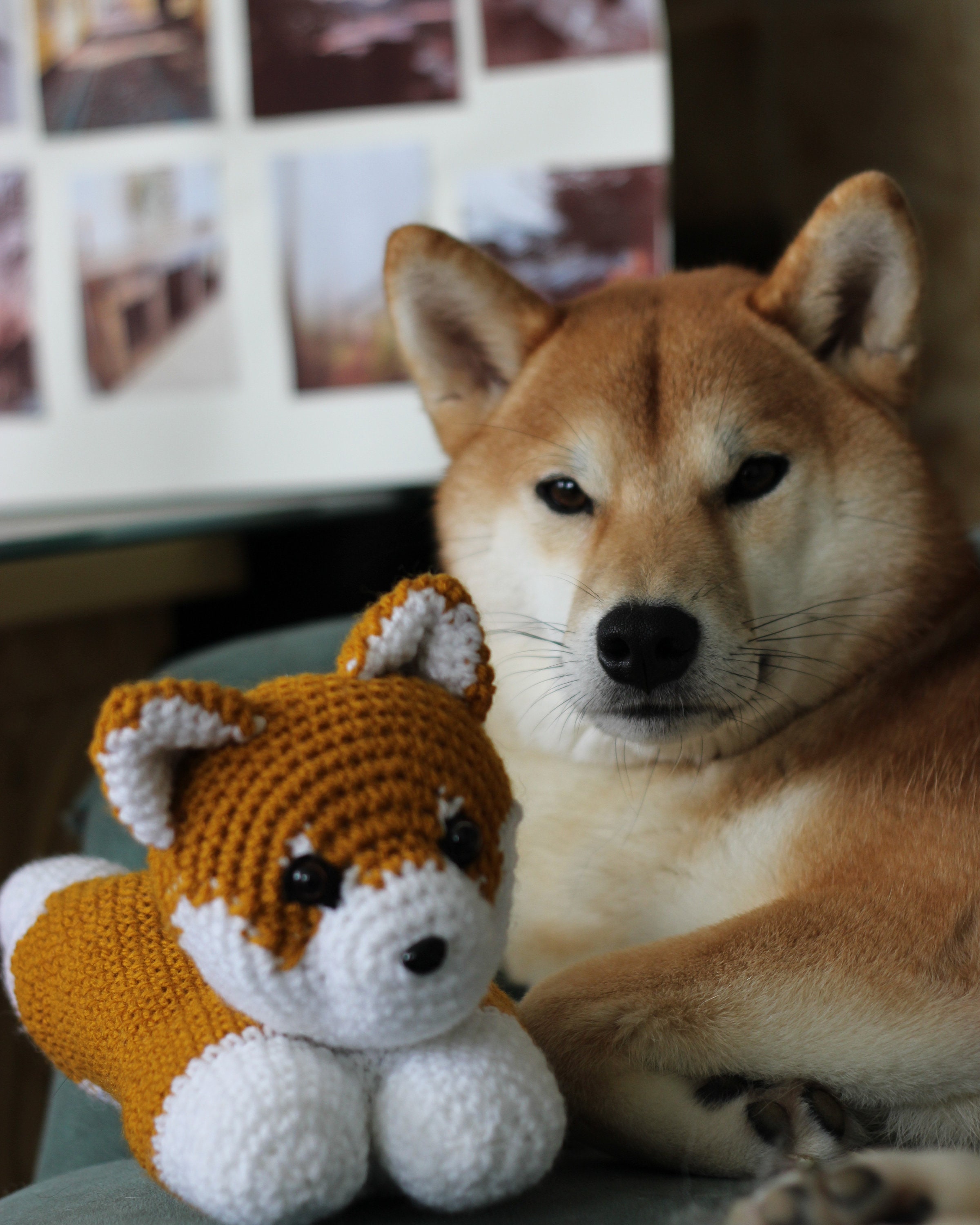 Sottobicchiere Quadrato Con Cagnolino Shiba Inu - Simpatico Regalo Per Amanti Dei Cani, Sughero Sul Retro, 9,5x9,5 Cm