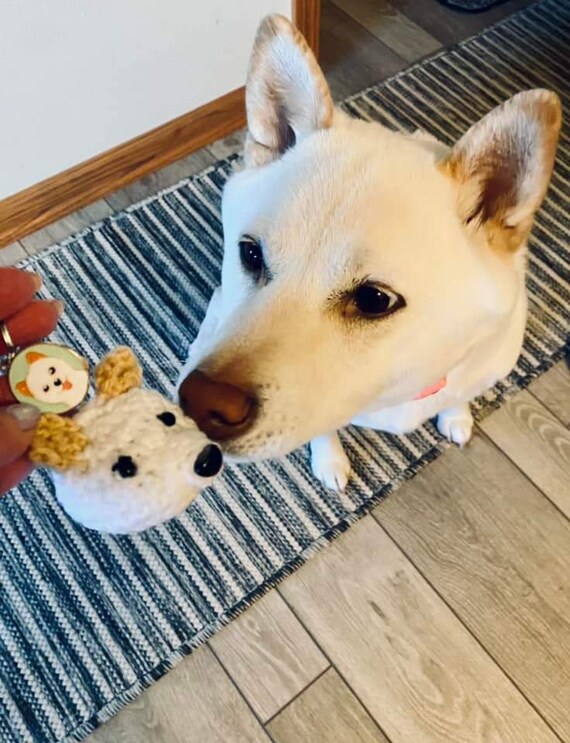Peluche Shiba Inu Giapponese – Morbido Cagnolino 25 Cm, Giocattolo Per Bambini E Adulti, Colore Crema