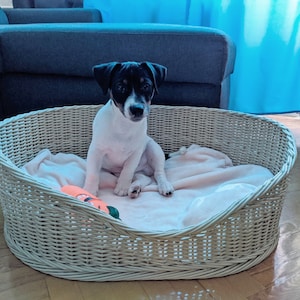 Handwoven Pet Bed made with natural material| Personalised Small to XXL Pet Basket|Comfortable Wicker Bed for Cats and Dogs|Gift for Animals