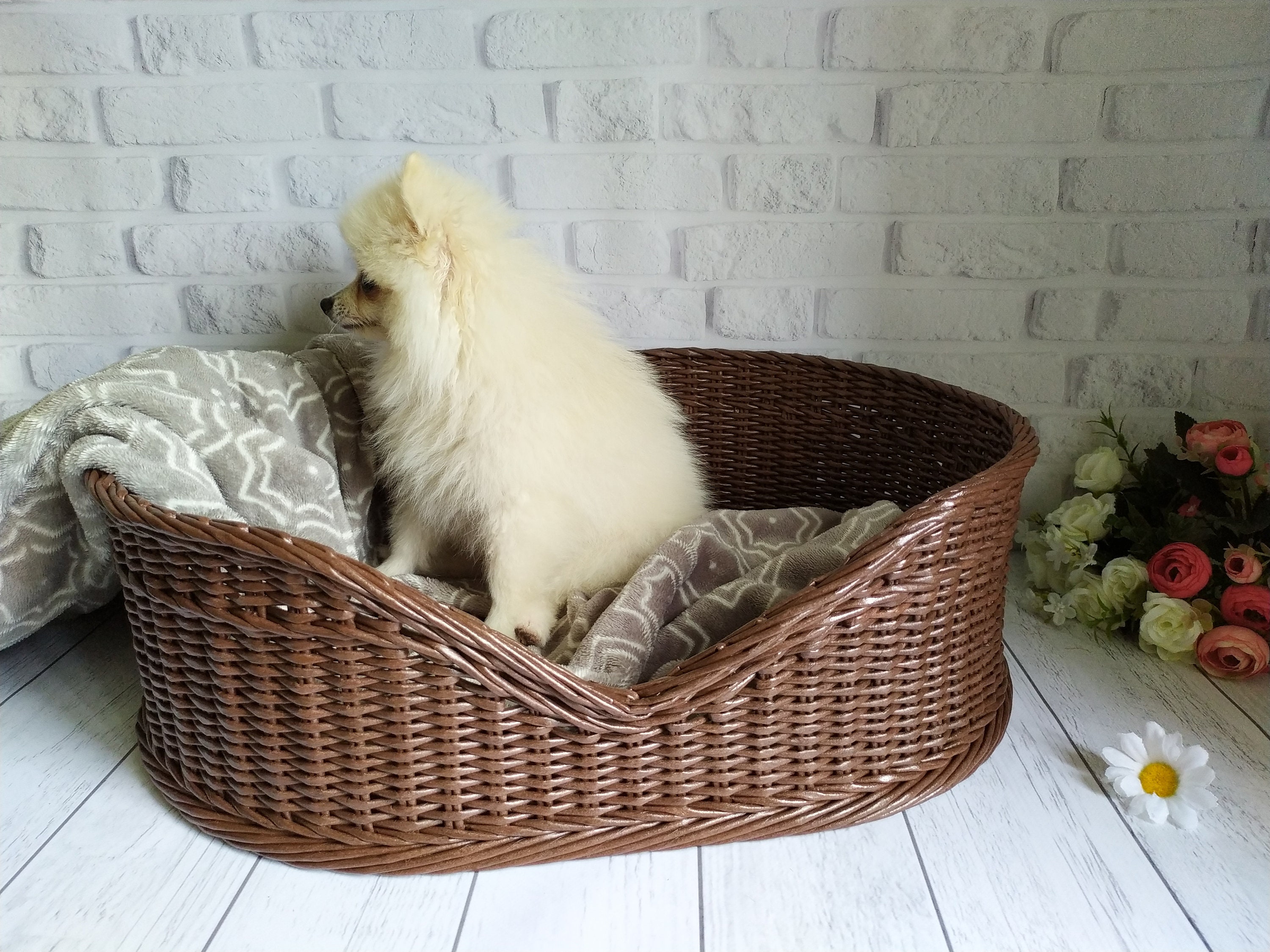 Wicker dog bed small size dog basket pet bed basket for Etsy