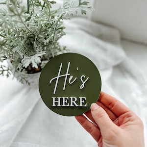 Newborn Arrival Disc, He&#39;s Here Disc, She&#39;s Here Disc, Baby Arrival Disc, Babyshower Gift, Newborn Photo Prop