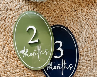 Duck Monthly Milestone Discs, Baby Milestone Markers, Newborn Photos, Baby Photos, Monthly Milestone Set, Duck Nursery Decor, Duck Baby