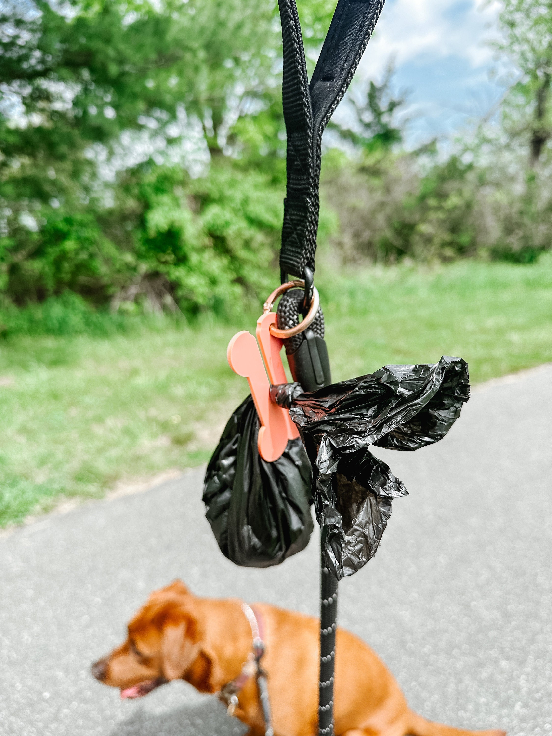 Dog Poop Bag Holder, Poop Bag Holder, Dog Walking Accessory, Dog