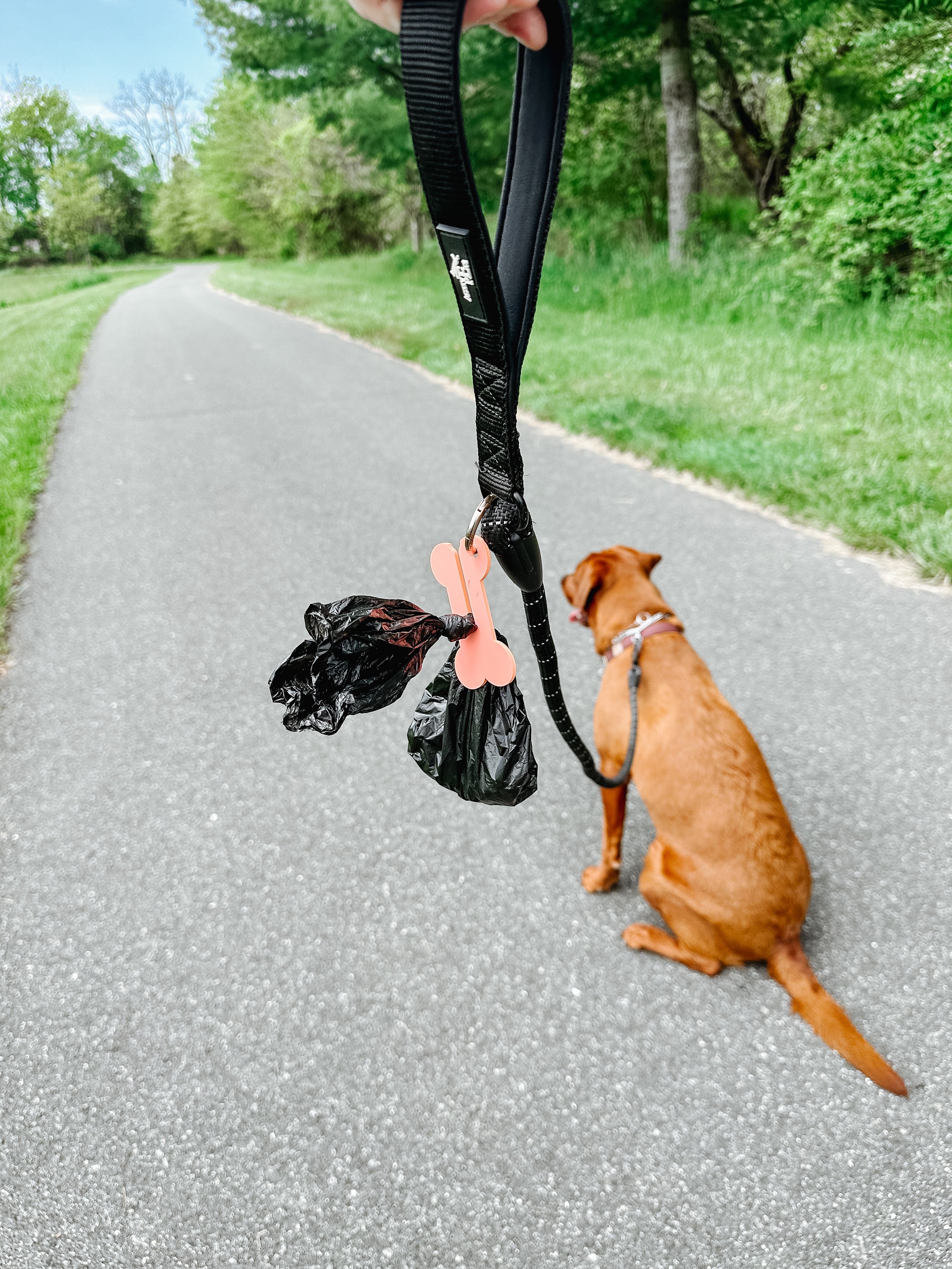 Dog Poop Bag Holder, Poop Bag Holder, Dog Walking Accessory, Dog