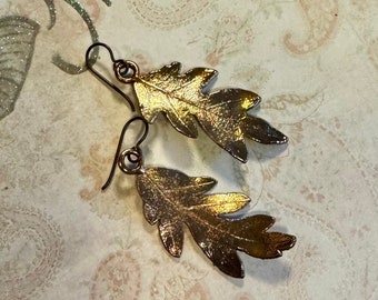 Oak Leaf Earrings ~ Copper Electroformed