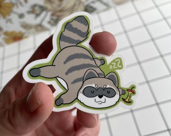 Noodles the Raccoon Sticker | Raccoon Sticker | Laptop sticker | Water bottle Sticker | Vinyl Decal