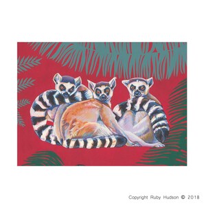 Cartão em branco da arte animal do safari da selva vermelha dos lêmures de Madagascar A6