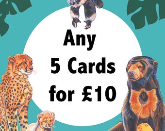 Choose any 5 Greeting Cards for 10 Pounds Offer