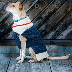 Crochet Pattern / Crochet Dog Sweater / Small Medium Large Dogs / Crocheted Doggie Coat / Ready to Roam Dog Sweater Pattern PDF image 1