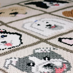 Nine grid c2c crochet dog blanket laid flat on a surface.