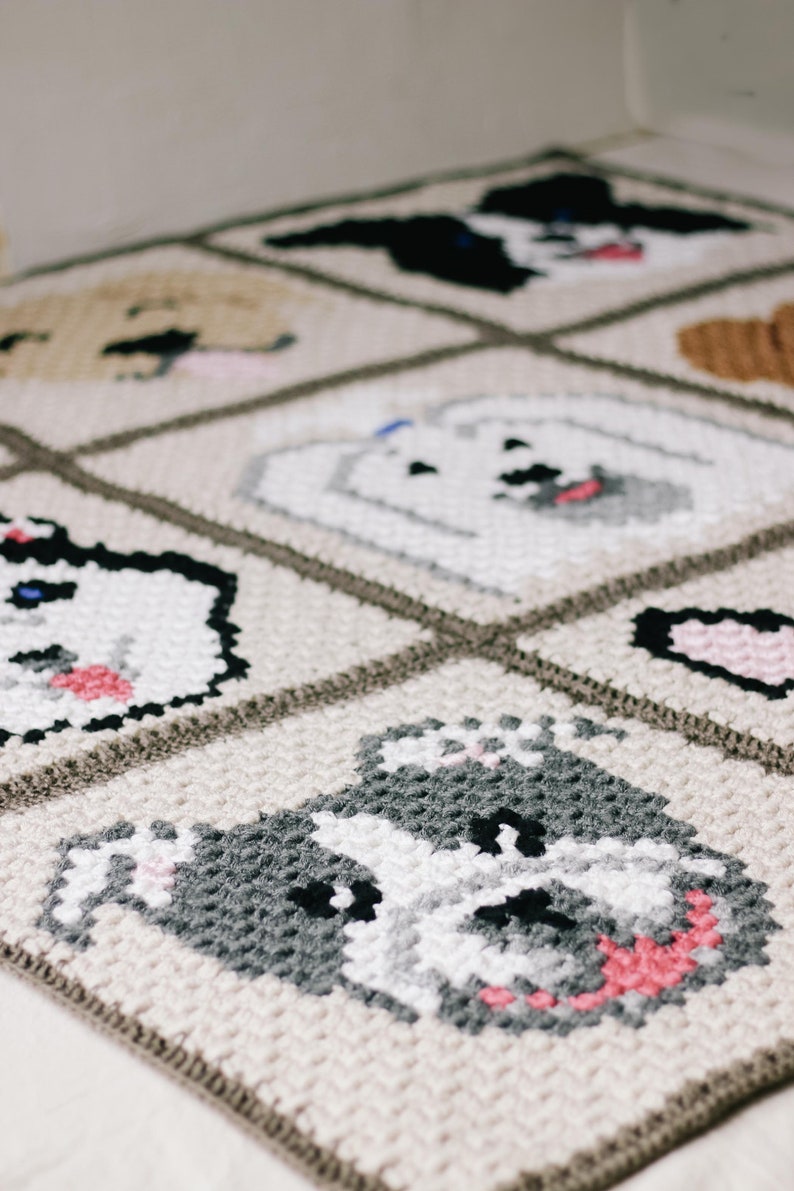 Nine grid c2c crochet dog blanket laid flat on a surface.
