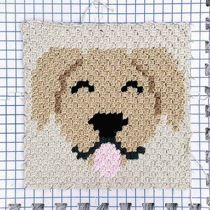 A golden retriever c2c crochet square pinned on a block with T-pins.