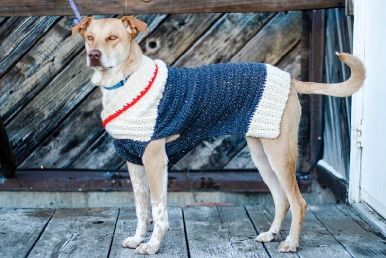 Crochet Pattern / Crochet Dog Sweater / Small Medium Large Dogs / Crocheted Doggie Coat / Ready to Roam Dog Sweater Pattern PDF image 3