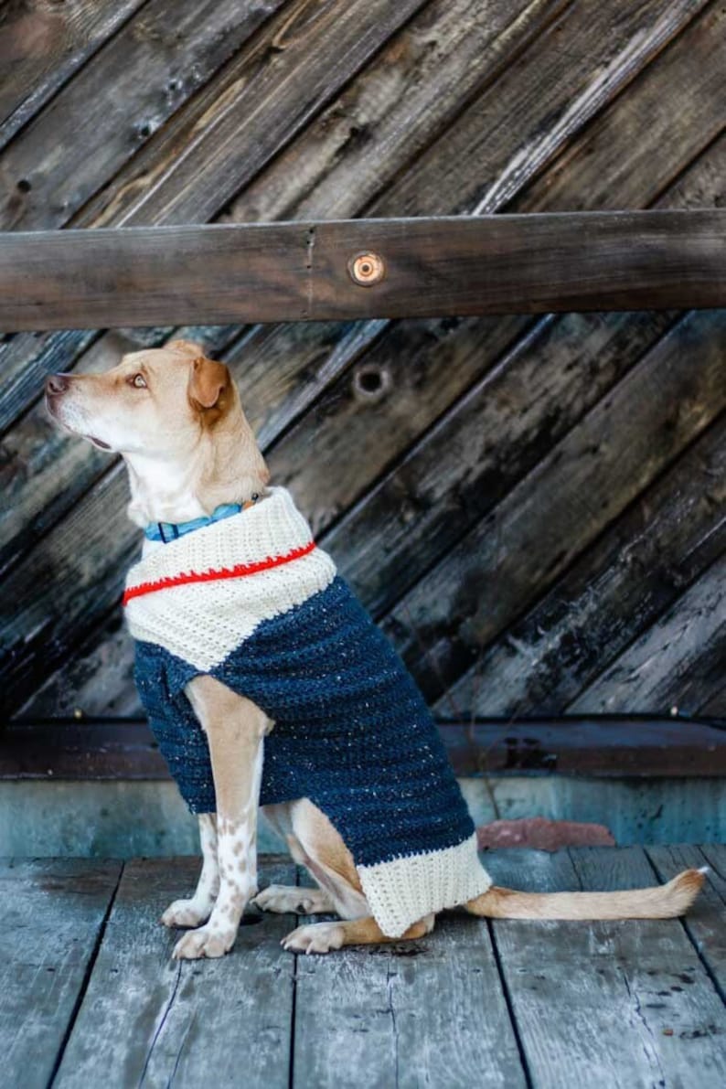 Crochet Pattern / Crochet Dog Sweater / Small Medium Large Dogs / Crocheted Doggie Coat / Ready to Roam Dog Sweater Pattern PDF image 1