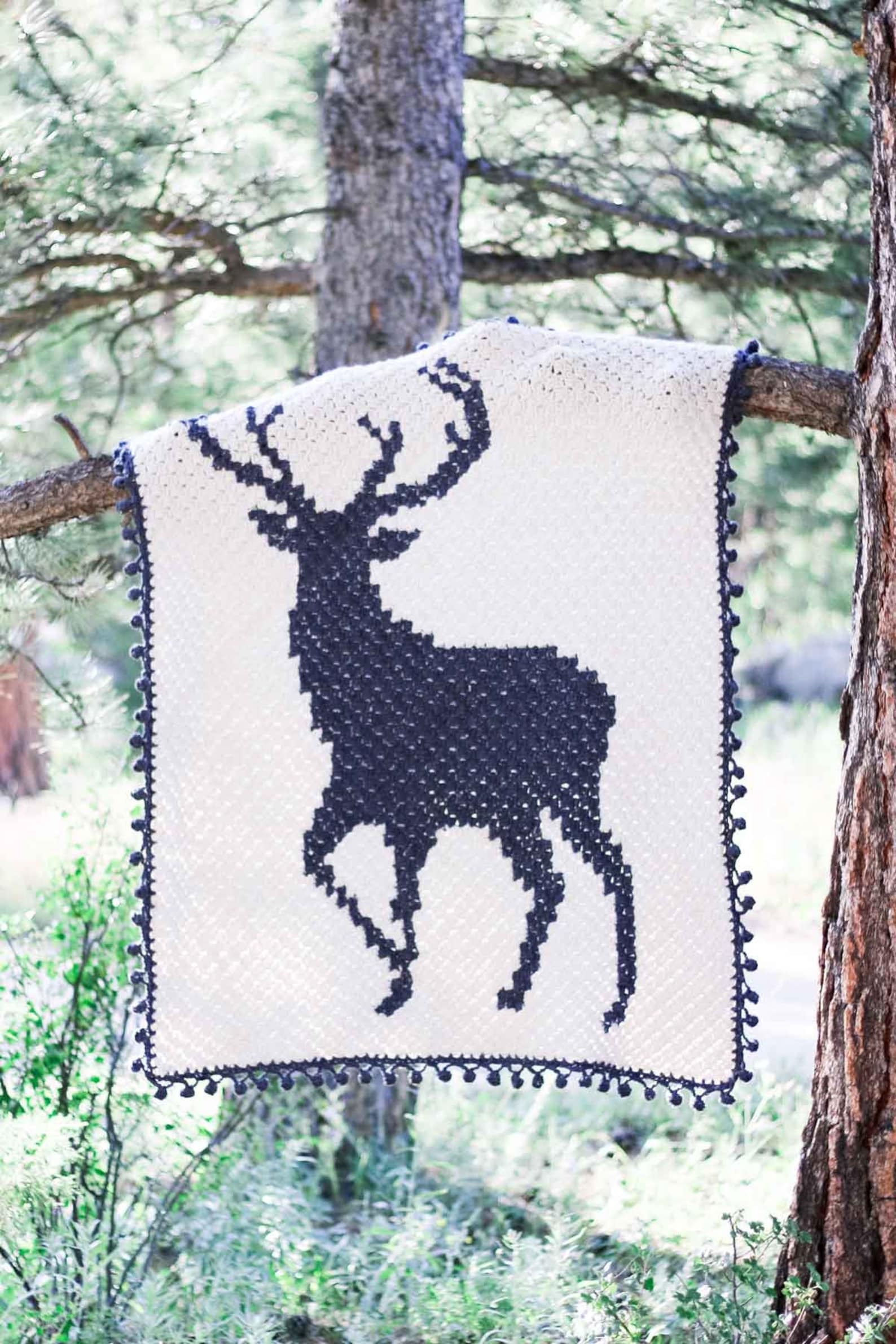 Crochet Pattern / Corner to Corner Crochet Afghan / Graphgan / - Etsy