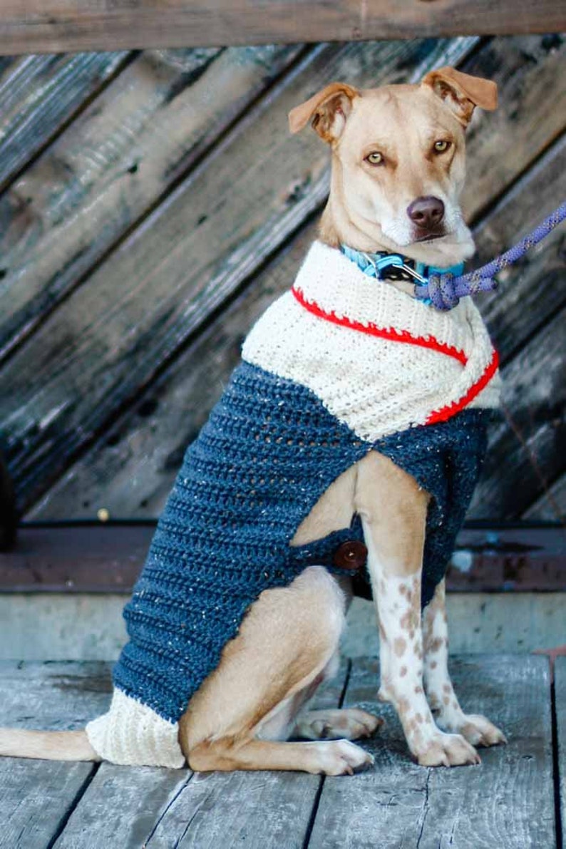 Crochet Pattern / Crochet Dog Sweater / Small Medium Large Dogs / Crocheted Doggie Coat / Ready to Roam Dog Sweater Pattern PDF image 4