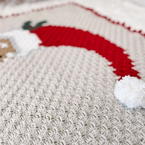 Crochet Pattern / Corner to Corner Santa Blanket / Christmas Blanket / C2C Graphgan / Xmas / Jolly Old St. Nick Blanket Crochet Pattern PDF image 7