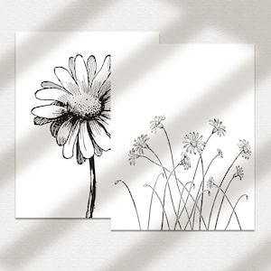 Coloring Pages Flowers #6 | Printable Download | Floral Illustrations | Coloring Pages for Adults | Line Art Drawings