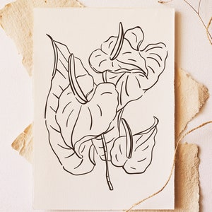 Coloring Pages Flowers #4 | Printable Download | Floral Illustrations | Coloring Pages for Adults | Line Art Drawings