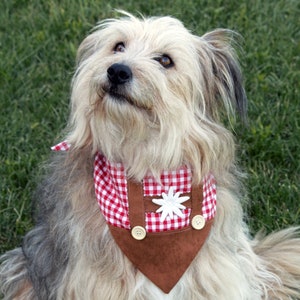 Hunde Hunde Halstuch im Tiroler Stil, Oktoberfest Bandana, weiß blau kariertes Hundehalstuch, Lederhosen Bandana Bild 8