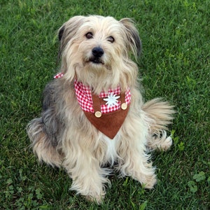 Hunde Hunde Halstuch im Tiroler Stil, Oktoberfest Bandana, weiß blau kariertes Hundehalstuch, Lederhosen Bandana Bild 9