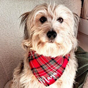 May include: A fluffy, light-colored dog wearing a red and black plaid bandana. The bandana has the name "Maya" in white script. The dog is sitting on a light-colored, textured surface.