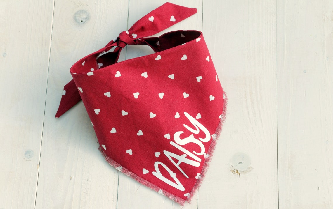 Bandana Con Scritta Mom Studied I Slept Il Mio Cane Si è Laureato