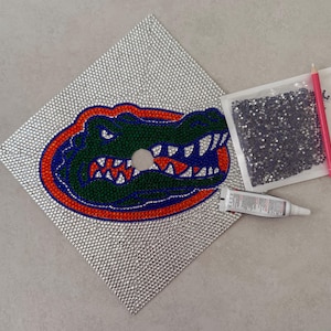 May include: A graduation cap decorated with silver rhinestones and a colorful alligator design. The alligator is green, blue, and orange. A small bag of rhinestones, a pink pencil, and a tube of glue are also present.